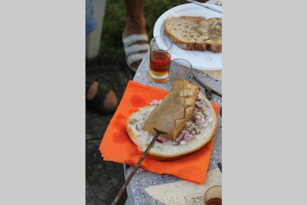Balla Mama, Hajdúszoboszló Hajduszoboszlo Exterior foto